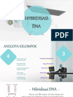 Hibridisasi - Dna 11