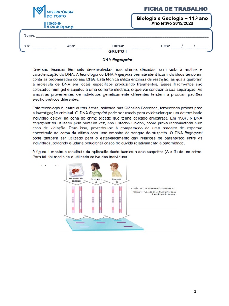 Ficha Unidade 5 - Crescimento e Renovação Celular | PDF
