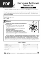 Attra Cut Flower Production