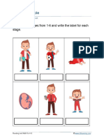 Grade 2 Human Life Cycle B