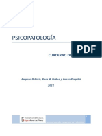 Psicopatología. Cuaderno de Prácticas