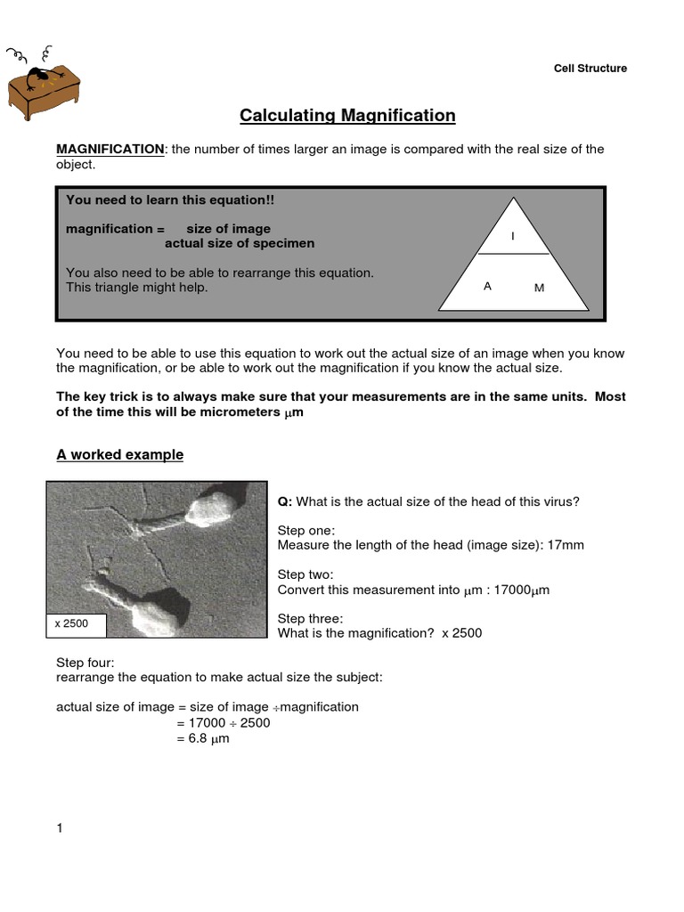 Calculating Cell Magnification | PDF | Electromagnetic Radiation | Optics