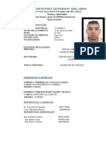Perfil profesional Pico Menéndez Jefferson Abelardo
