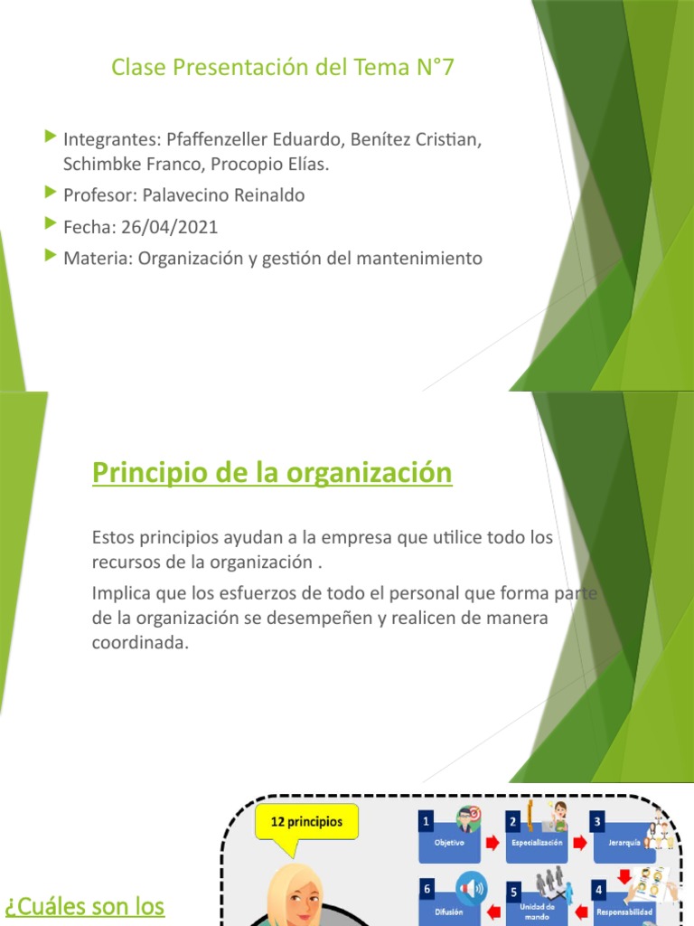 principiosorganizaci-nmantenimiento-pdf-business-economias