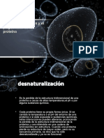 Desnaturalización proteínas: Factores y consecuencias