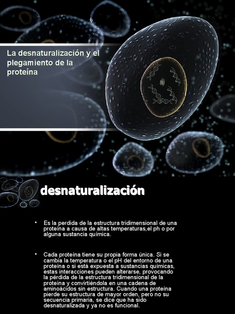 Desnaturalización proteínas Factores y consecuencias PDF