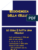 02 - Biochimica - Delle - Cellule 2022