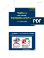 Glomerulonephritisek-Dr. Légrády P.