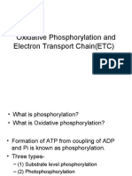 Electron Transport Chainetc