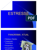 estresse-palestra-sonia