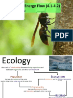 Ecosystem Energy Flow & Nutrient Cycles (BIO4.1-4.2
