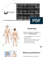 Orientación General para La Anatomía Humana