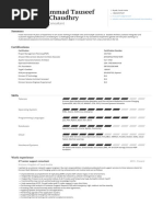 Muhammad Tauseef CV