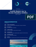 Proximos Pasos Comite Asesor Por La Accion Climatica