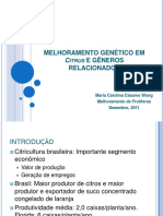 Melhoramento genético em citros e gêneros relacionados