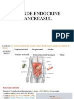 Pancreasul