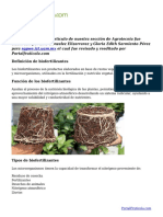 Biofertilizantes - Definición, Función y Tipos