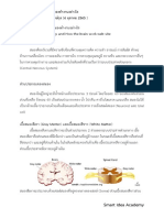 กายวิภาคของสมอง และสมองทำงานอย่างไร