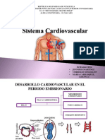 Sistema Circulatorio-2