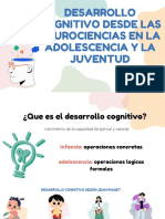 Desarrollo Cognitivo Desde Las Neurociencias en La Adolescencia y La Juventud