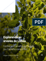Árvores de Lisboa