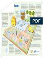 Apicultura Infografico Apicultura