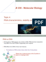 RNA Characteristics, Stability, and Forms