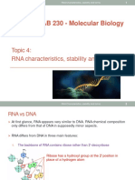 RNA Characteristics, Forms and Functions