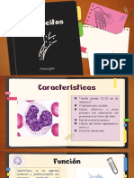 Componentes Histologíicos de Los Monocitos