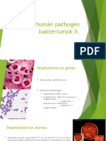 Humán Pathogén Baktériumok II