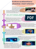 Antecedentes Del Sistema Nervioso Infografia