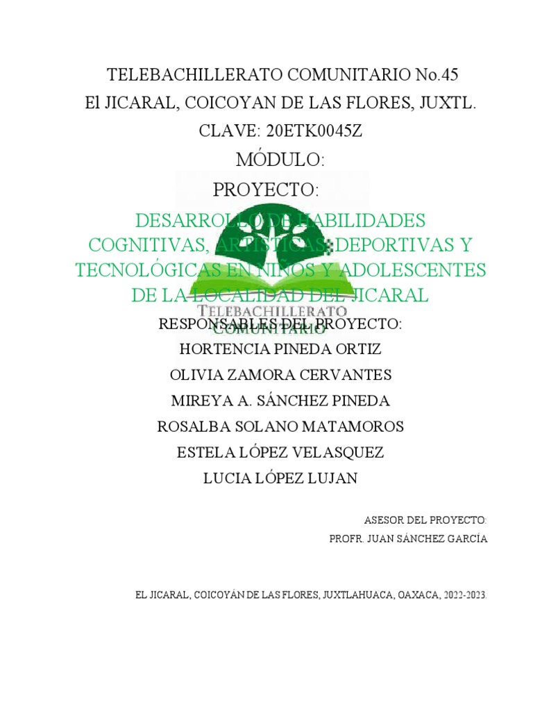 Proyecto de Desarrollo Comunitario | PDF | Pinturas | Dibujo