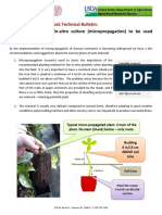 Micropropagation Planting Bulletin June 2017