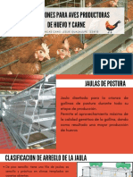 Instalaciones para Aves Productoras de Huevo y Carne