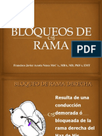 Bloqueos de Rama