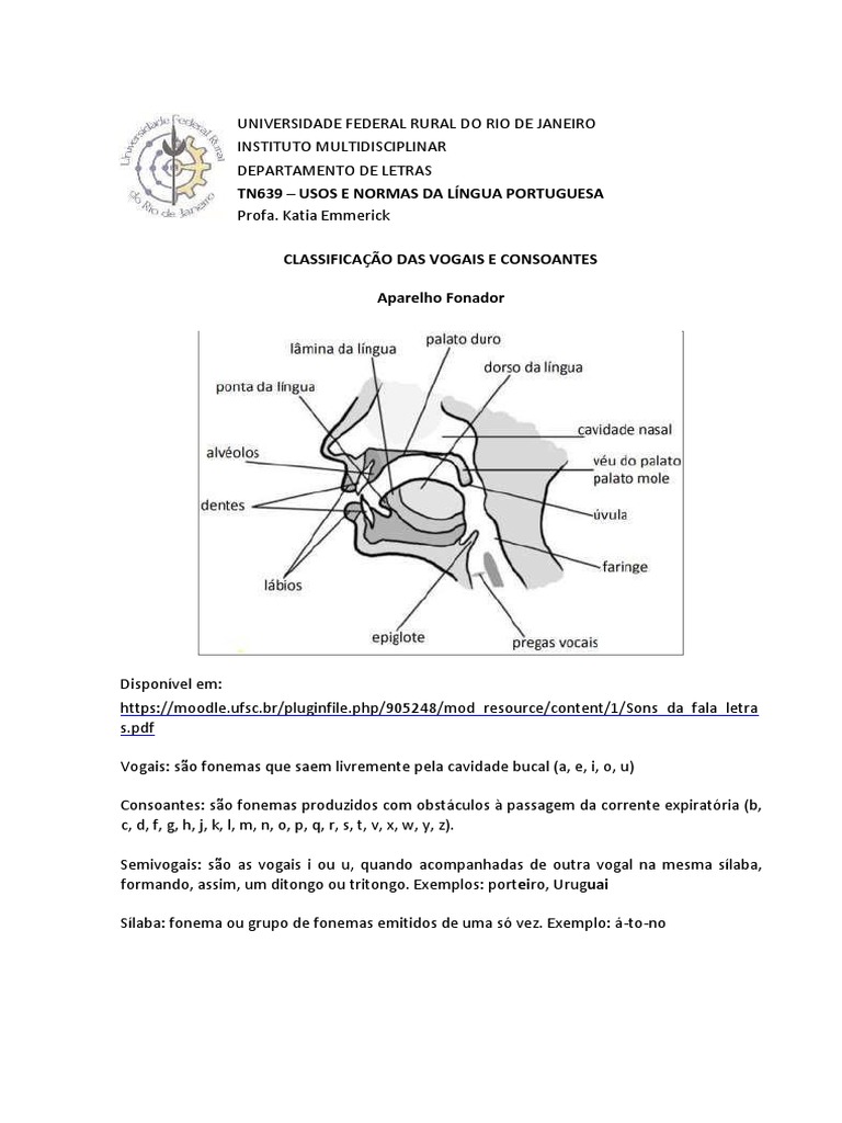 Classificação Das Vogais e Consoantes | PDF | Sílaba | Vogal