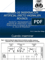 Tecnica I.A. Moquegua