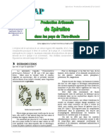 Production Artisanale Spiruline