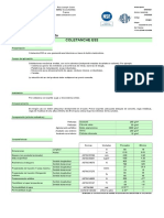 Coletanche-Es2 Astm Si Es PDF