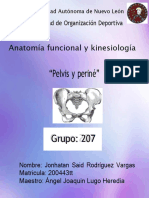 Anatomia de La Pelvis y Periné