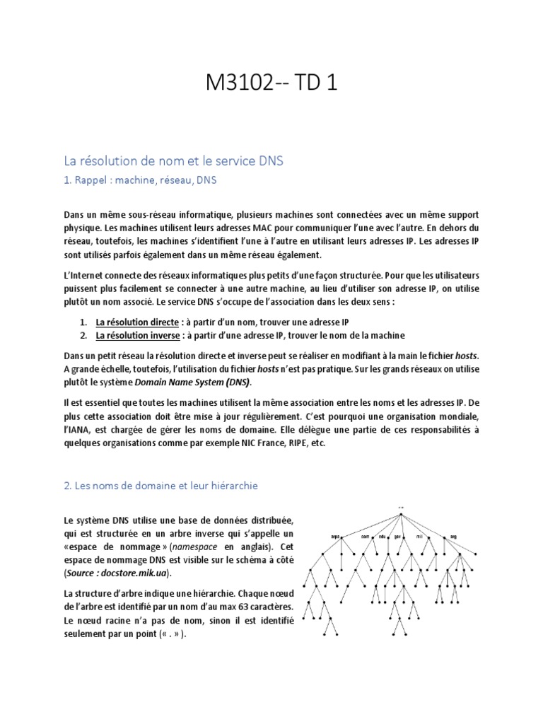 Résolution de noms et service DNS | PDF | Système de noms de domaines ...
