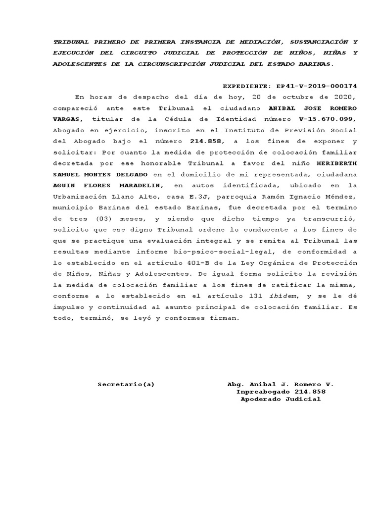 Escrito Solicitud Ratificacion Medida de Proteccion PDF