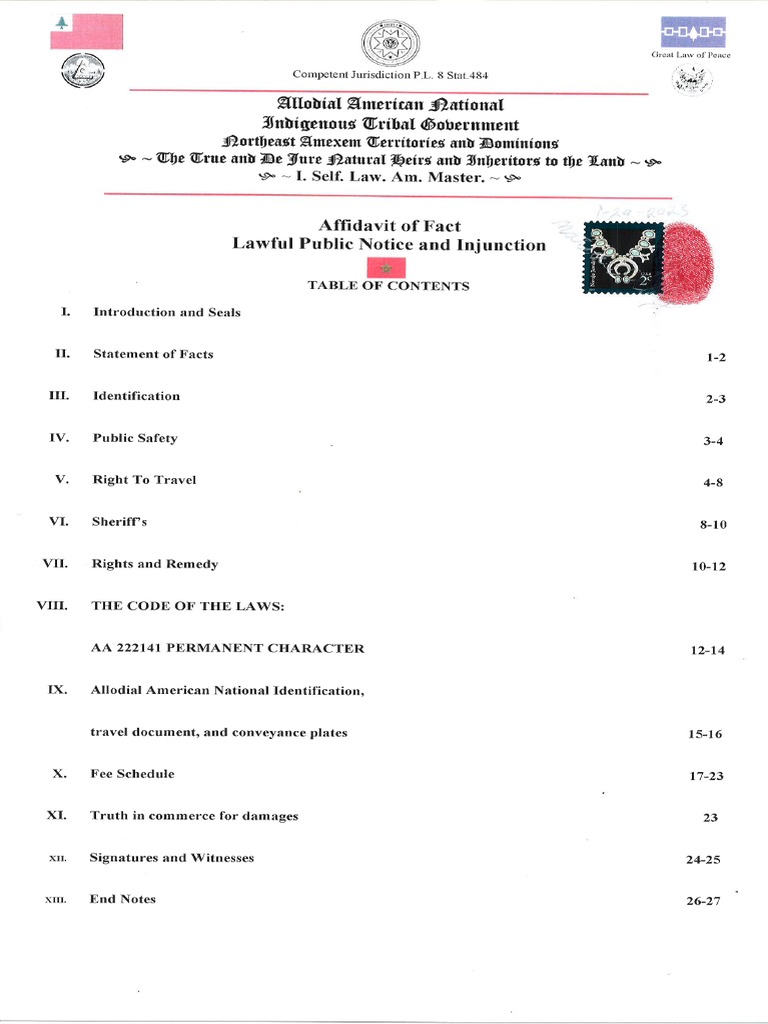 Lawful Public Notice and Injunction | PDF