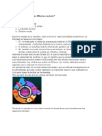 Resumen Mitosis y Meiosis