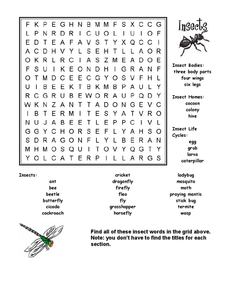Insect Word Search PDF