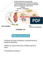 Blastocistosis en Venezuela
