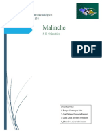 Access Malinche