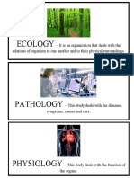 Taxonomy