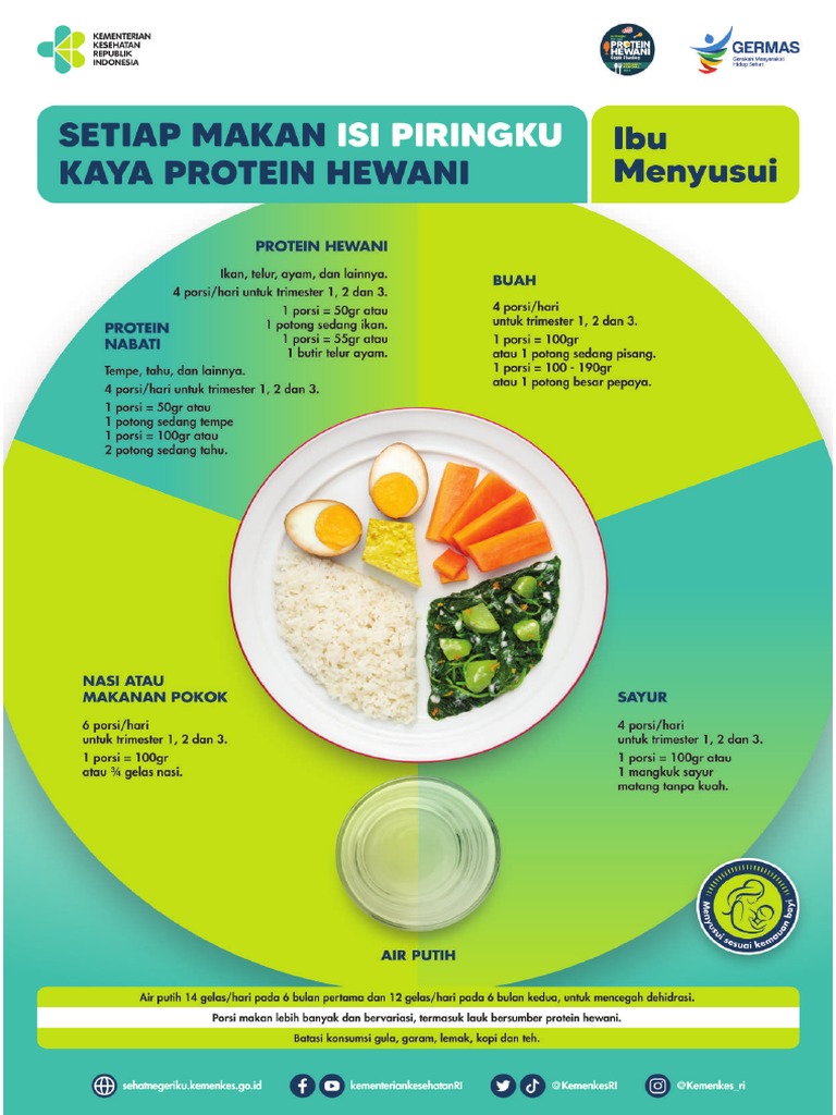 files44FA Ibu Menyusui (Poster A2) - Isi Piringku | PDF