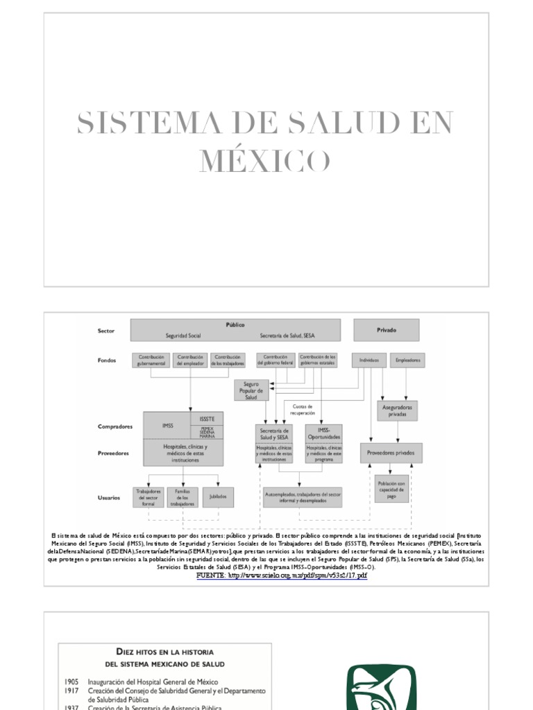 Sistema de Salud en México | PDF | Hospital | México